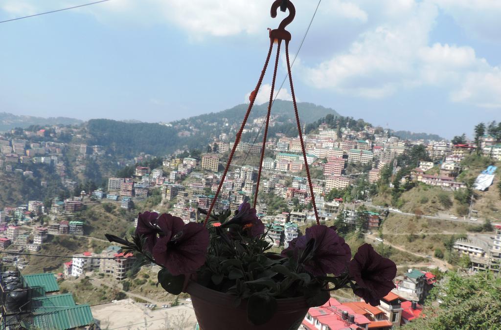Shimla View Home Eksteriør billede