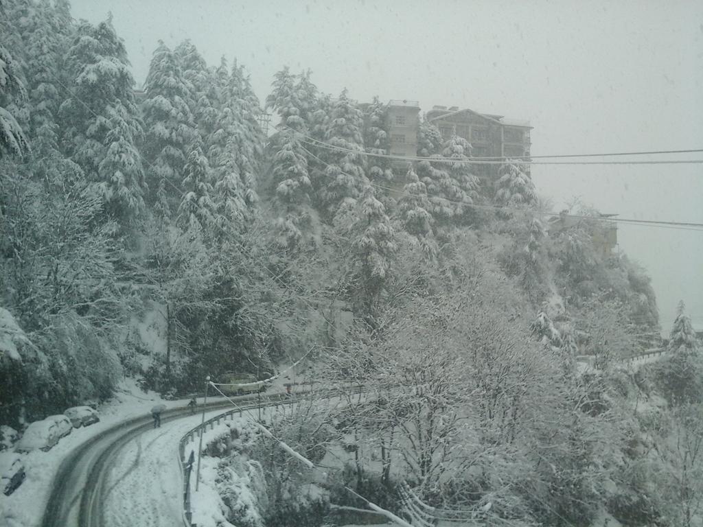 Shimla View Home Eksteriør billede